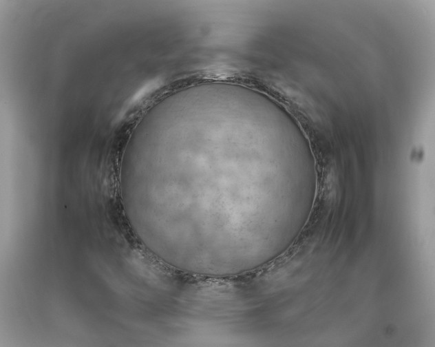 X0000092051446200709191111