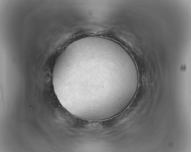 X0000092051447200709191111