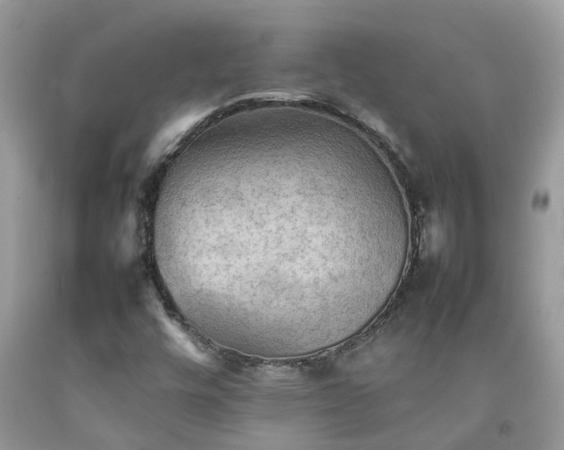 X0000092051448200709191111