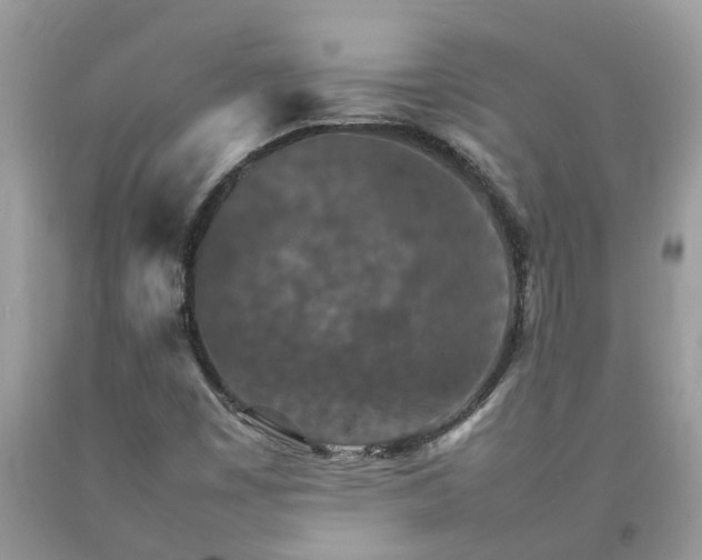 X0000092051449200709191111