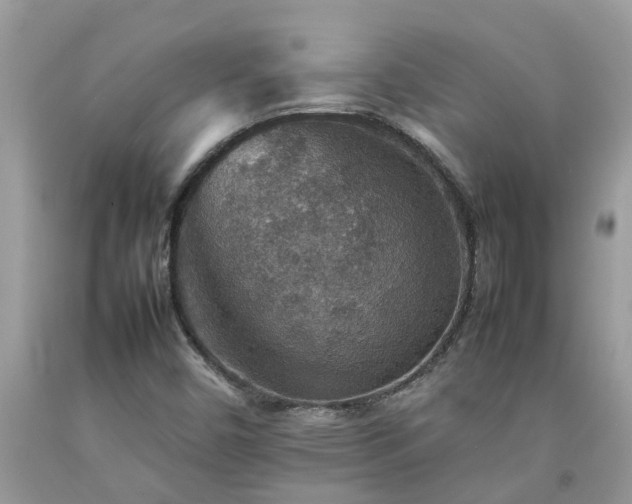 X0000092051450200709191111