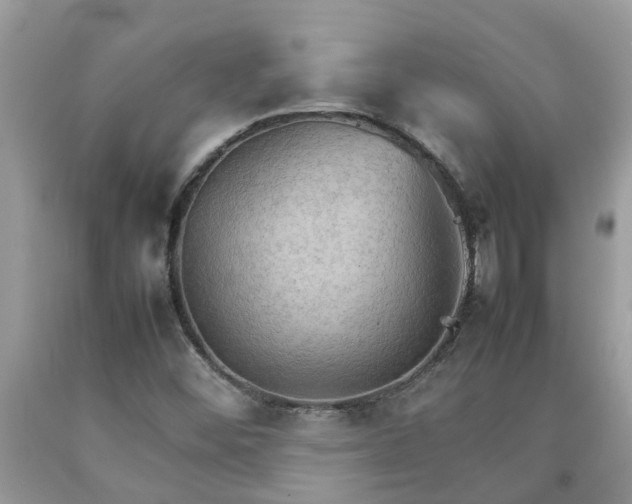 X0000092051452200709191111