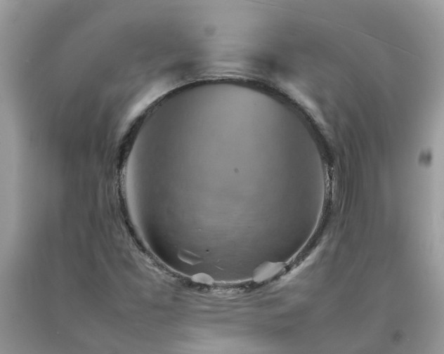 X0000092051453200709191111