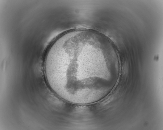 X0000092051454200709191111