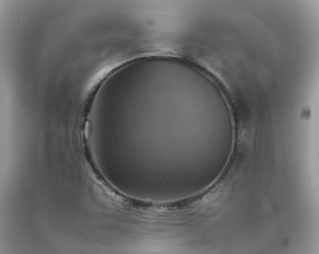 X0000092051455200709191111