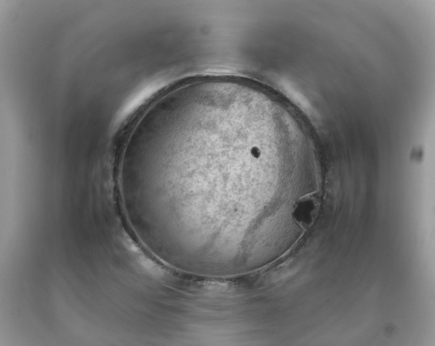 X0000092051456200709191111