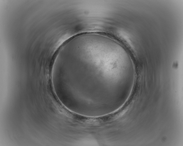 X0000092051457200709191111