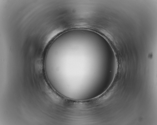 X0000092051458200709191111