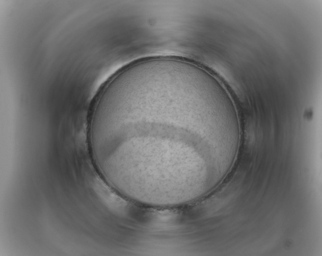 X0000092051460200709191111