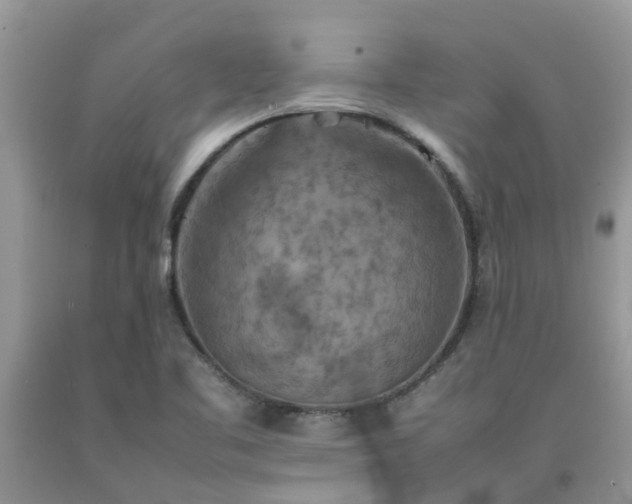 X0000092051461200709191111