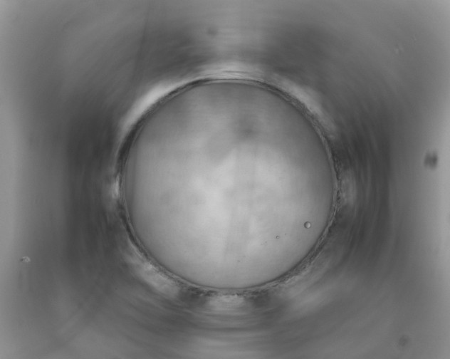 X0000092051462200709191111