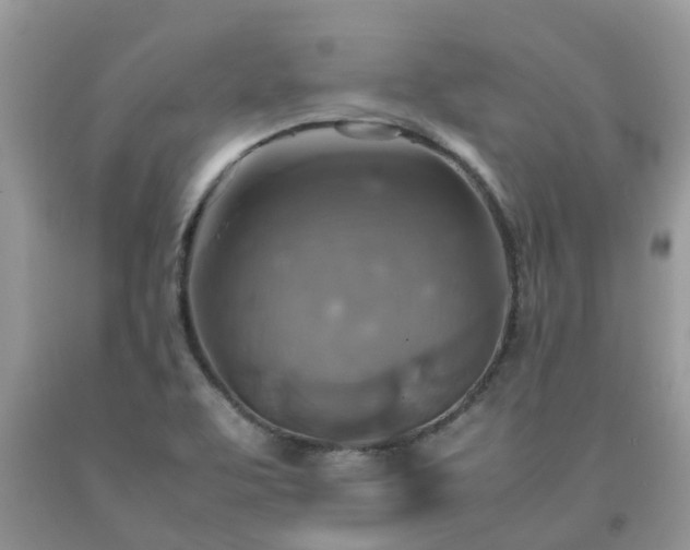 X0000092051463200709191111