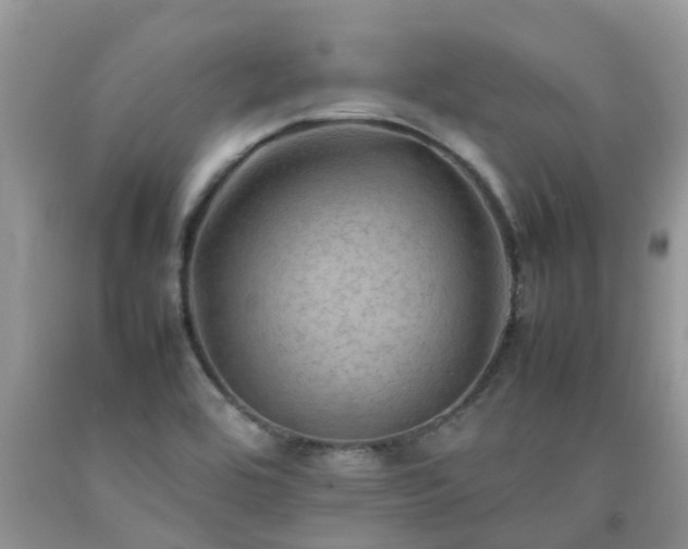 X0000092051464200709191111