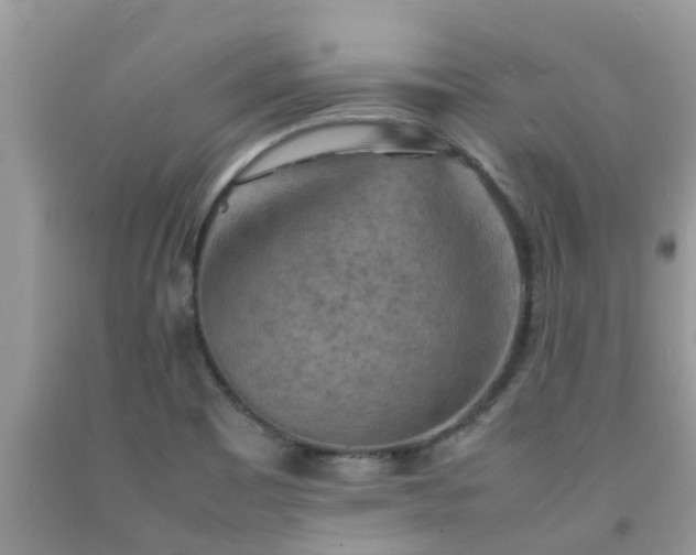 X0000092051465200709191111