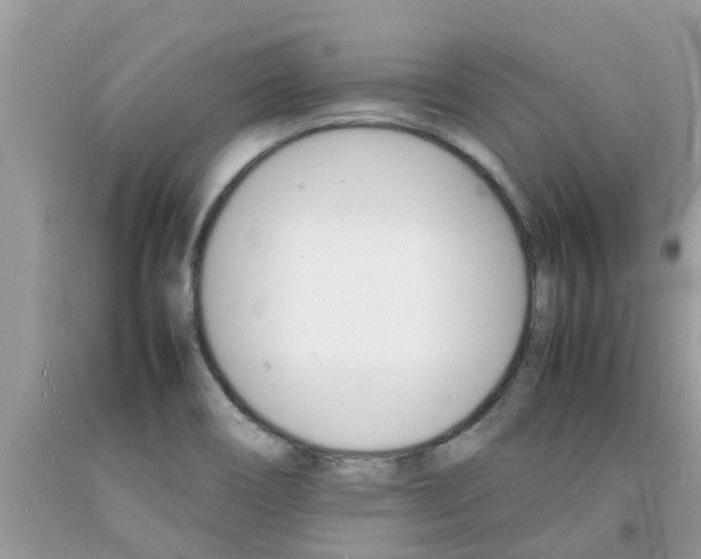 X0000092051466200709191111