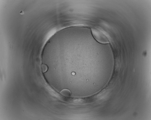 X0000092051467200709191111