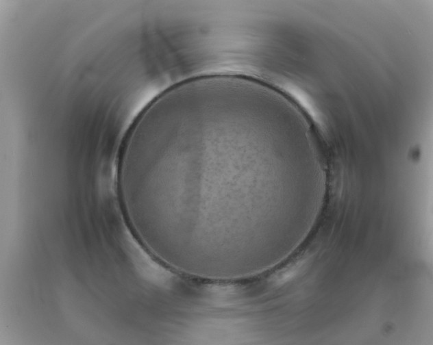 X0000092051468200709191110