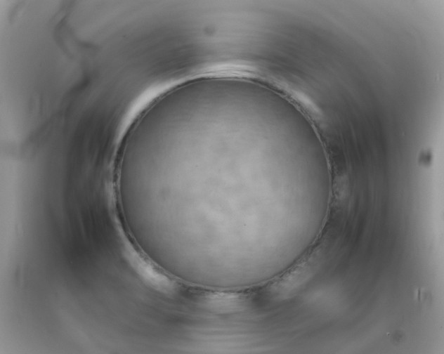 X0000092051470200709191110