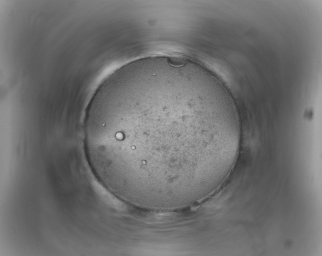 X0000092051471200709191110