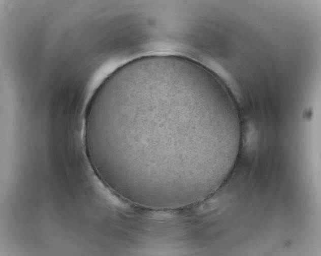 X0000092051472200709191110