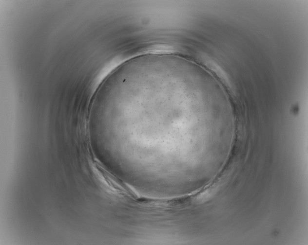 X0000092051473200709191110