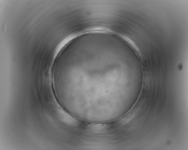 X0000092051474200709191110