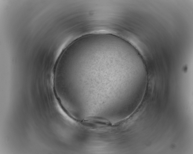 X0000092051476200709191110