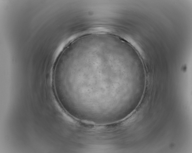 X0000092051477200709191110