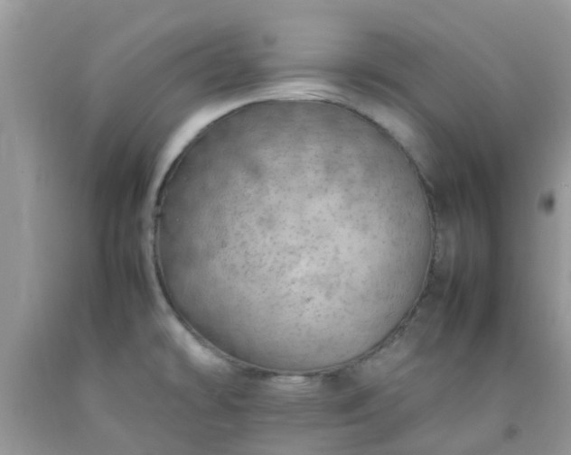 X0000092051478200709191110