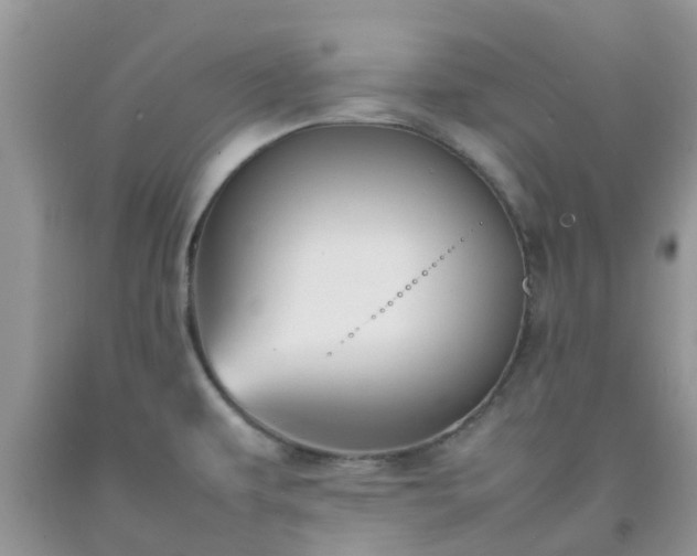 X0000092051479200709191110