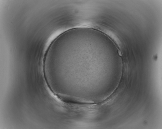 X0000092051480200709191110