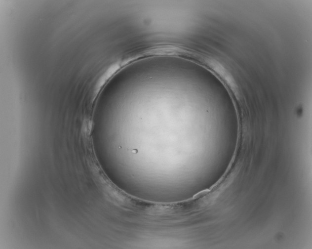 X0000092051481200709191110