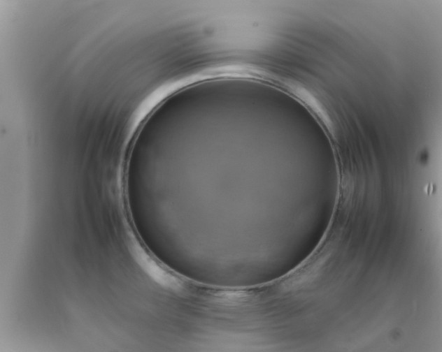 X0000092051482200709191110