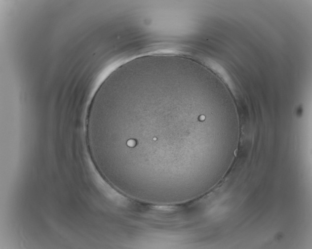 X0000092051483200709191110