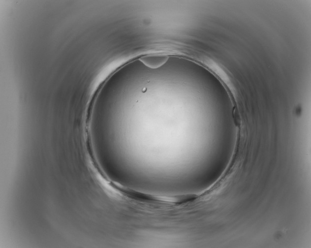 X0000092051485200709191110