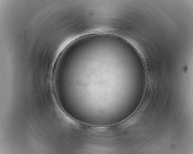 X0000092051486200709191110