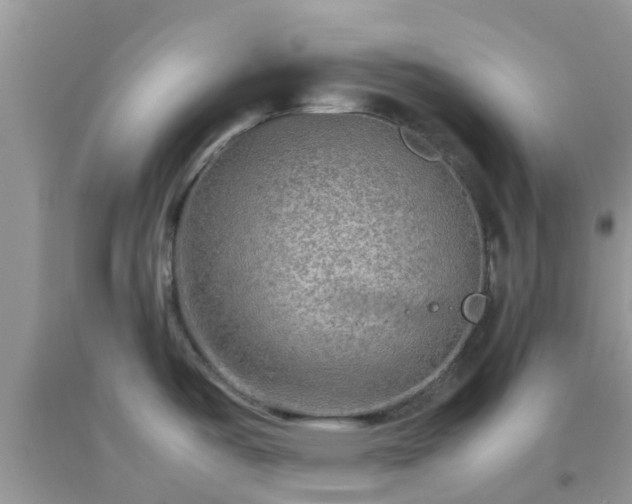 X0000092051487200709191110