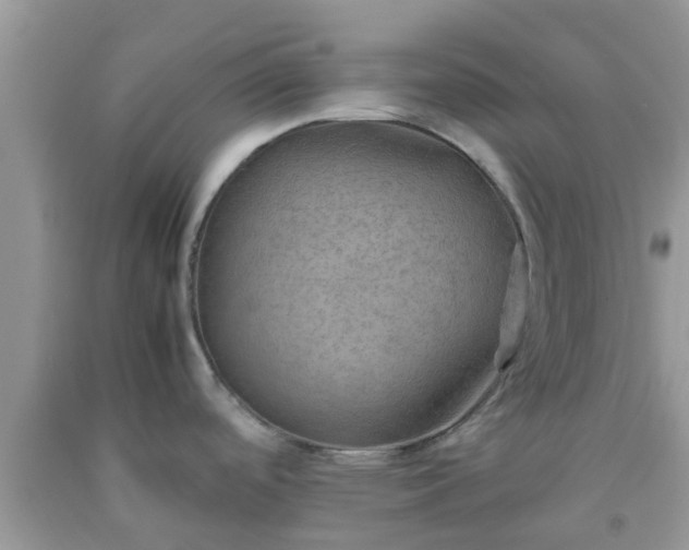 X0000092051488200709191110