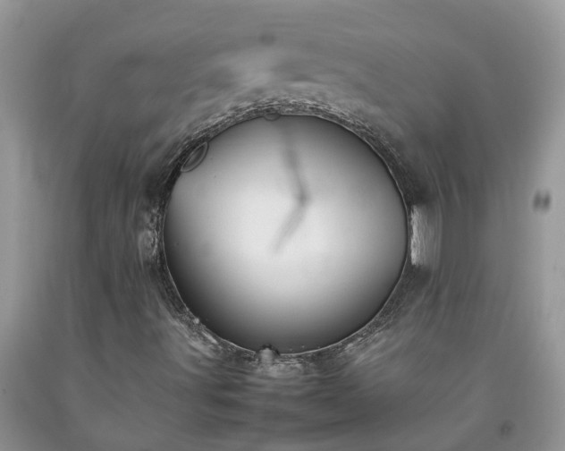 X0000092051491200709191110