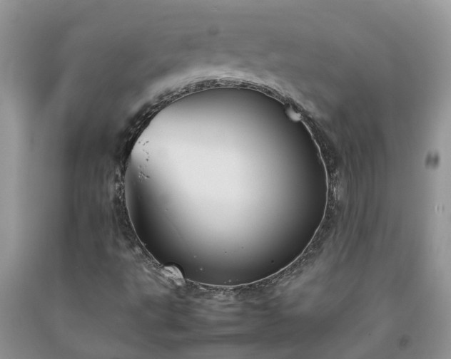 X0000092051495200709191110