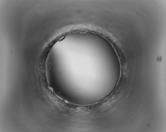 X0000092051496200709191110