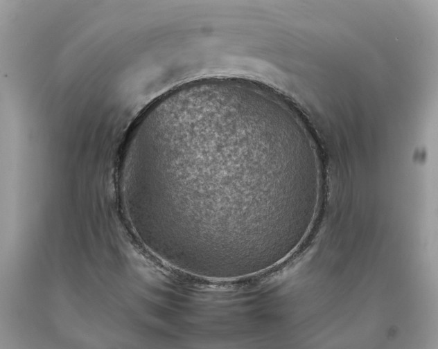 X0000092051497200709191110