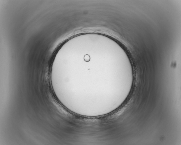 X0000092051498200709191110