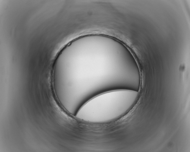 X0000092051500200709191110