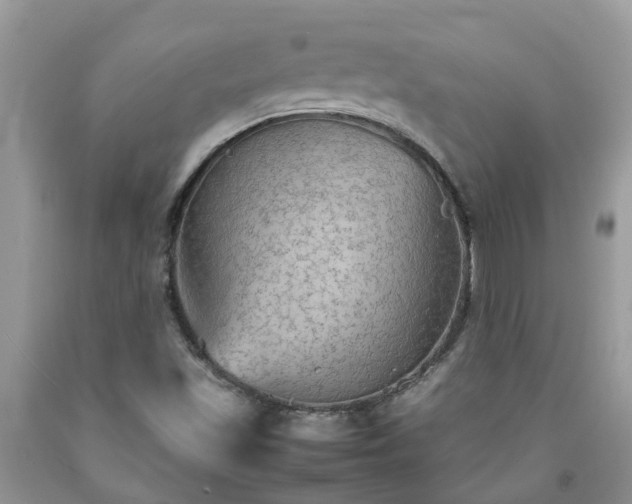 X0000092051501200709191110