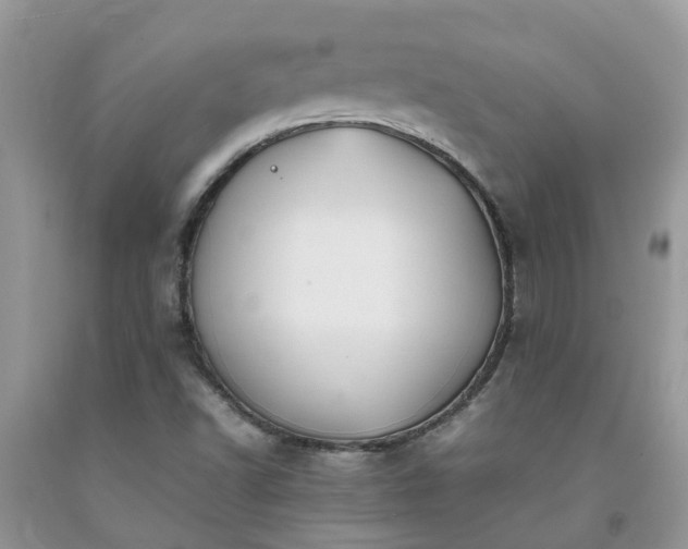 X0000092051502200709191110