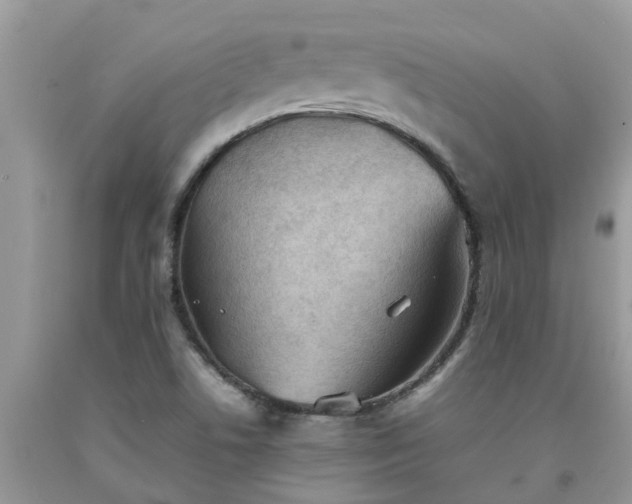 X0000092051506200709191110