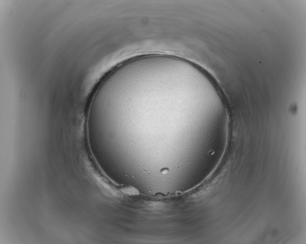 X0000092051507200709191110