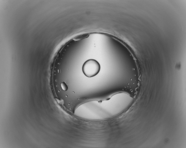 X0000092051508200709191110