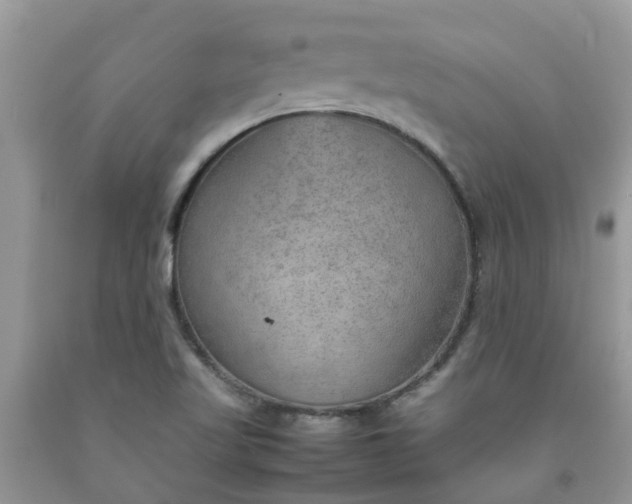 X0000092051509200709191110